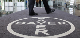 Bayer disminuye su beneficio neto un 16,8 % en el primer semestre