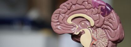 El negocio del cerebro crece en España: incremento de ensayos y repunte de la inversión